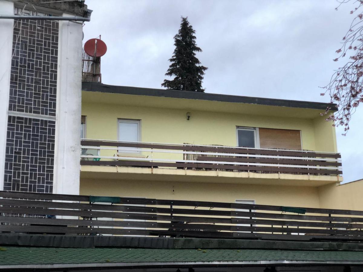 Apartments & Rooms Bad Soden Bad Soden am Taunus Εξωτερικό φωτογραφία